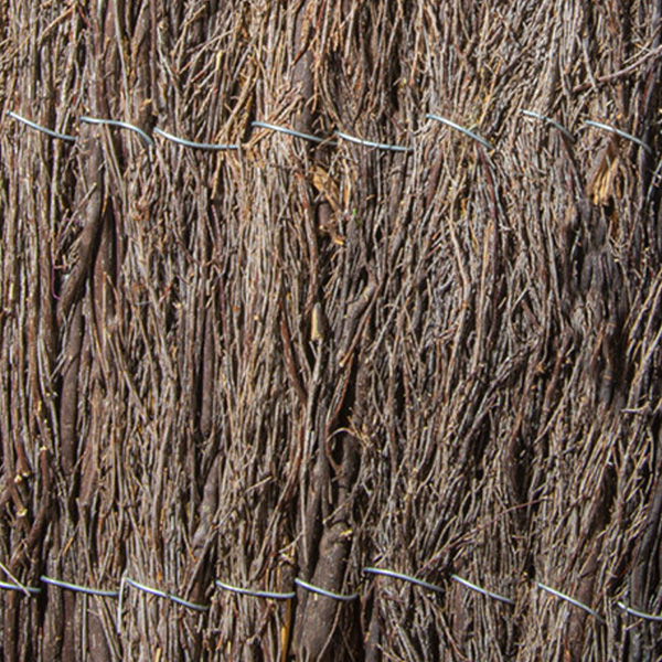 Natte de Bruyère en panneau